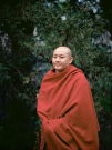 http://www.janinebaechle.com/files/gimgs/th-34_04g-Zong-Rinpoche-111,8.jpg