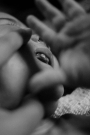 http://www.janinebaechle.com/files/gimgs/th-52_BAECHLE_JANINE_57_Becoming_Parents.jpg